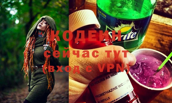 стаф Арсеньев