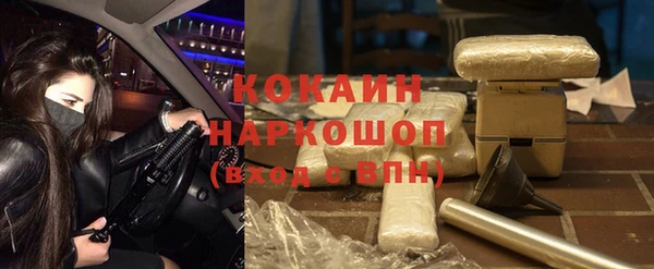 крисы Аркадак