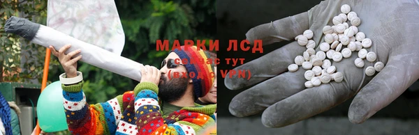 стаф Арсеньев