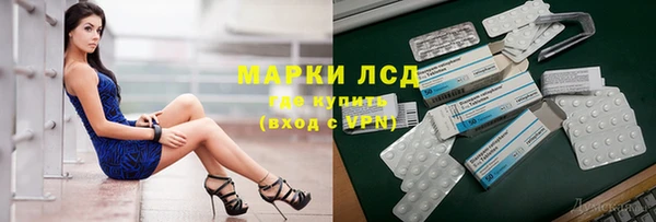 стаф Арсеньев