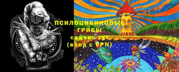 стаф Арсеньев
