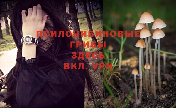 мяу мяу мука Армянск