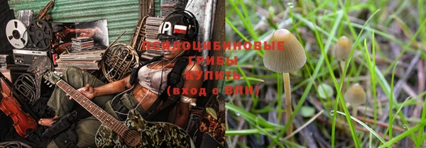 стаф Арсеньев
