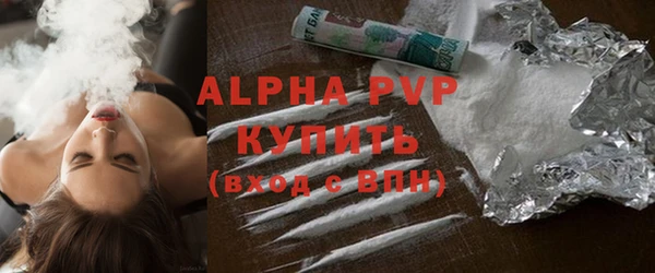 стаф Арсеньев