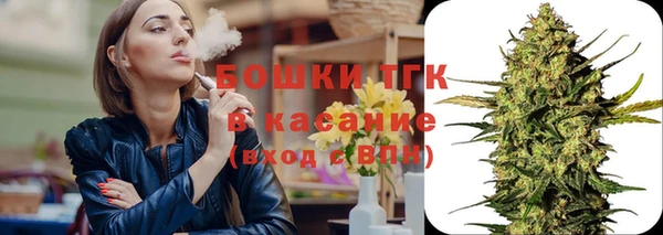 стаф Арсеньев